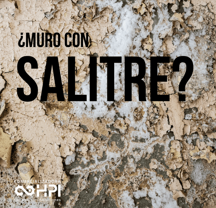 ¿COMO IMPERMEABILIZAR UN MURO CON SALITRE?